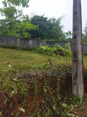 High-Potential Land – Homagama