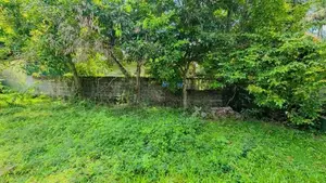 ගම්පහ සිරිමල් උයන පර්චස් 16ක අගනා ඉඩමක් / CA 14256