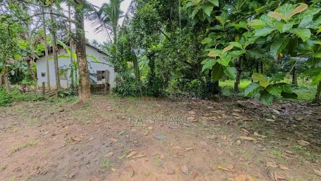 Land for sale in biyagama / SA 12512