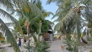 2 Acres Prime Land for Sale Mayilampaveli Batticaloa