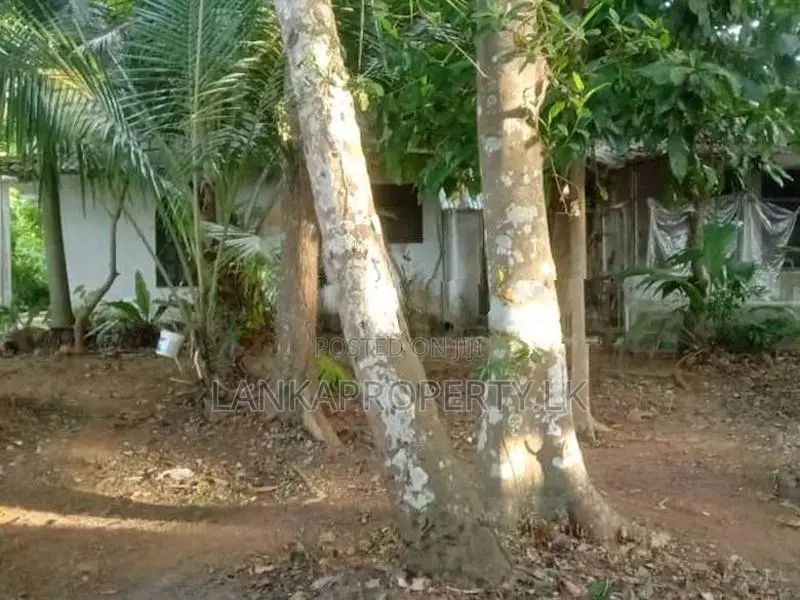 Valuable Residential Land for Sale in Mangala Mawatha, Kadawatha.