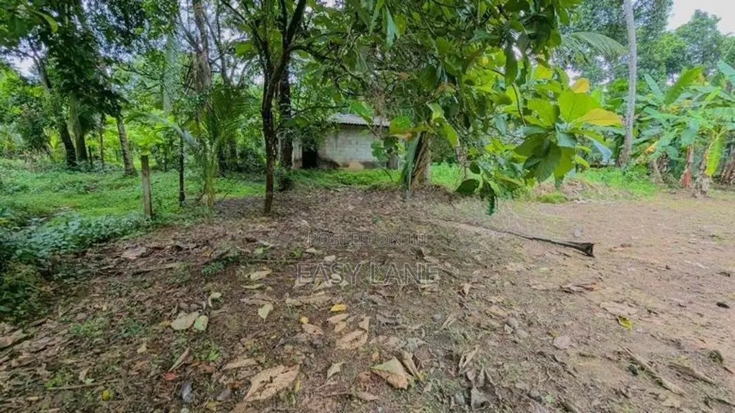 Land for sale in biyagama / SA 12512