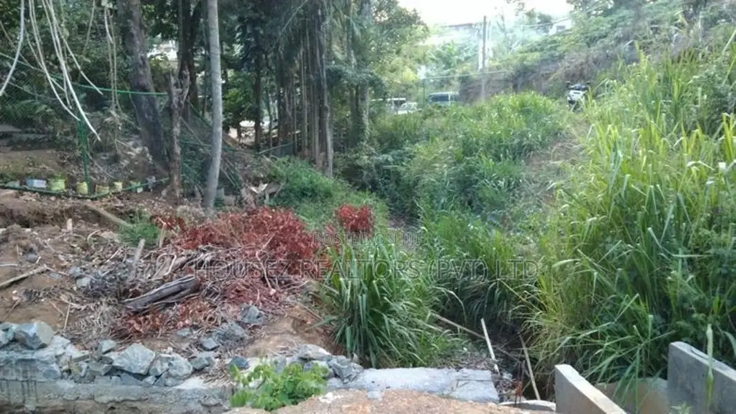 25 Perch Land for Long Term Lease - Ella