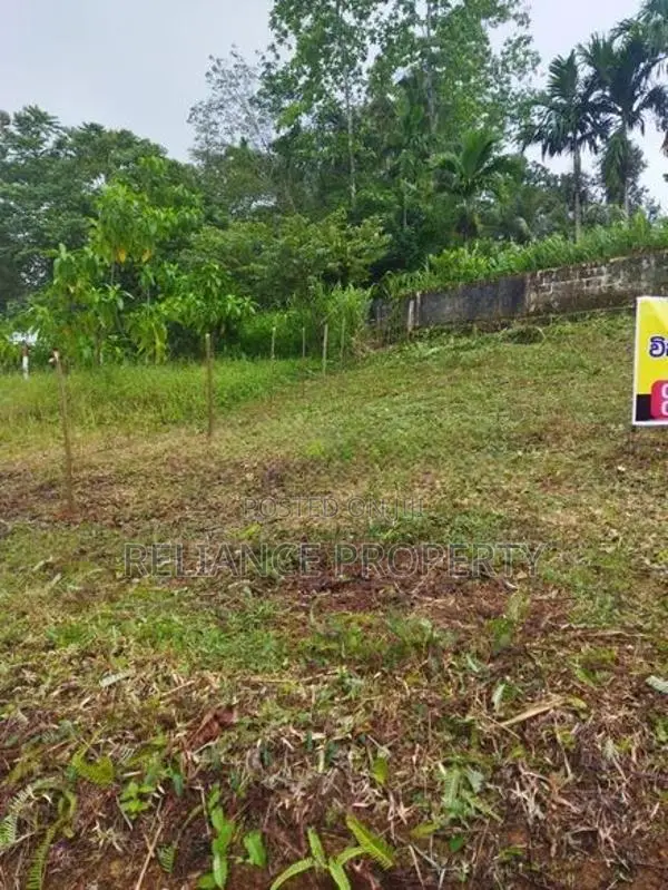 High-Potential Land – Homagama