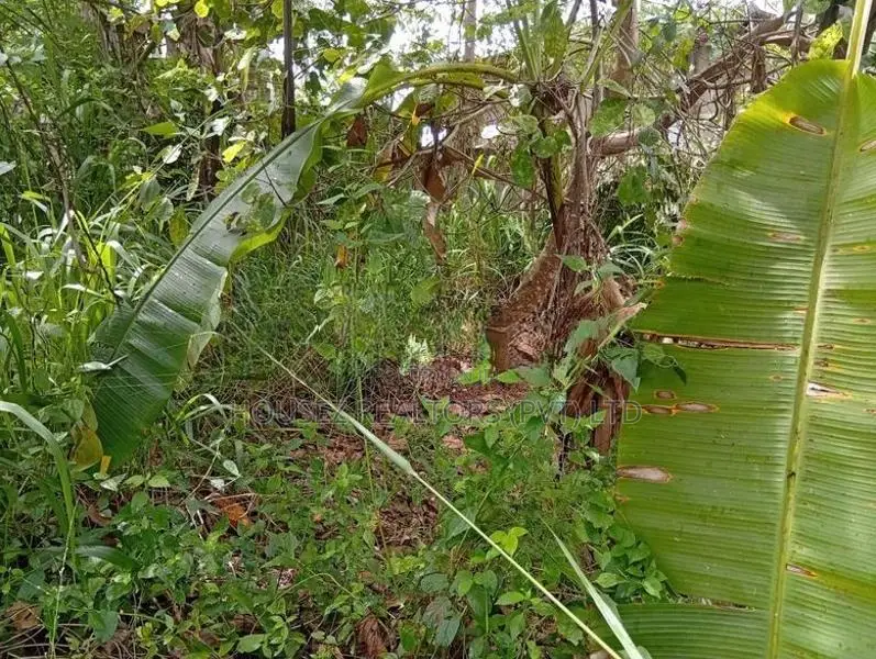 66 Perches Land for Sale in Narammala