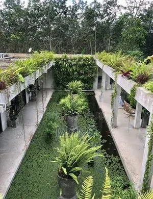 Luxury 7Br Villa for Sale on 5.6 Acre Tea Estate Galle
