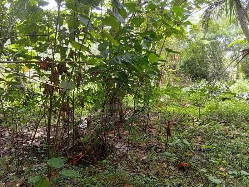 66 Perches Land for Sale in Narammala