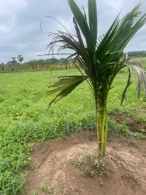 Land for Sale Trincomalee
