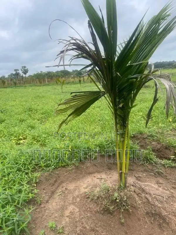 Land for Sale Trincomalee