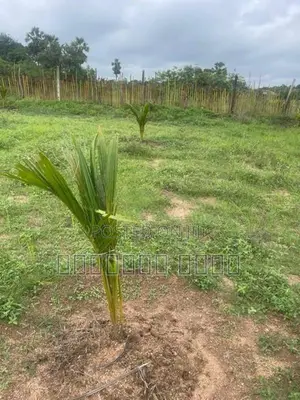 Land for Sale Trincomalee