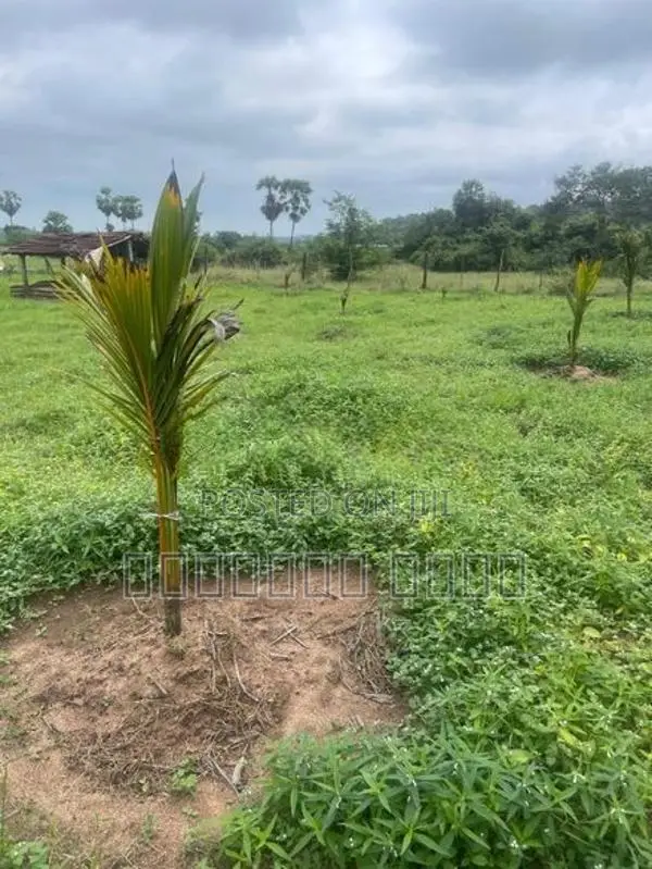 Land for Sale Trincomalee