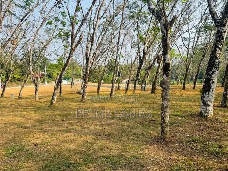 ඉඩමක් හොරණ