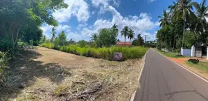 හලාවත කුරුණෑගල ප්‍රධාන පාරට 150m පමණ නුදුරින් පිහිටි ඉඩමක් විකිණීමට ඇත