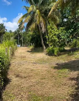 හලාවත කුරුණෑගල ප්‍රධාන පාරට 150m පමණ නුදුරින් පිහිටි ඉඩමක් විකිණීමට ඇත