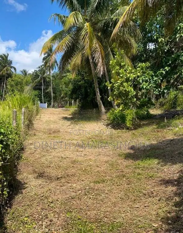 හලාවත කුරුණෑගල ප්‍රධාන පාරට 150m පමණ නුදුරින් පිහිටි ඉඩමක් විකිණීමට ඇත