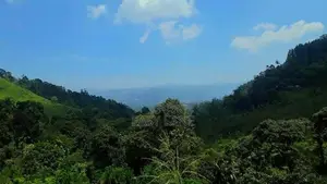 Land for Sale in Nawalapitiya / Ru 14830