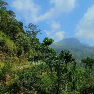 Land for Sale in Nawalapitiya / Ru 14830