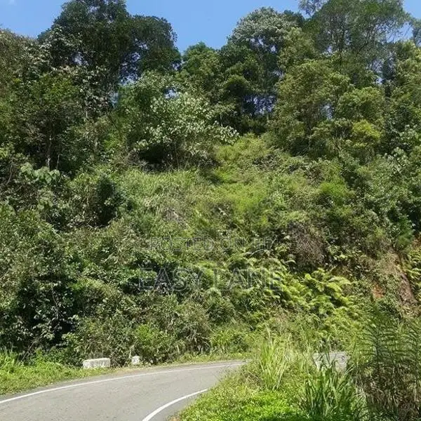 Land for Sale in Nawalapitiya / Ru 14830