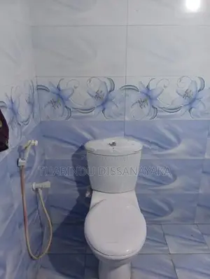 House in Kadawatha Maygahamula Plot 01