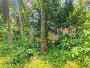 Land for Sale in Devolapola / Sa 14616