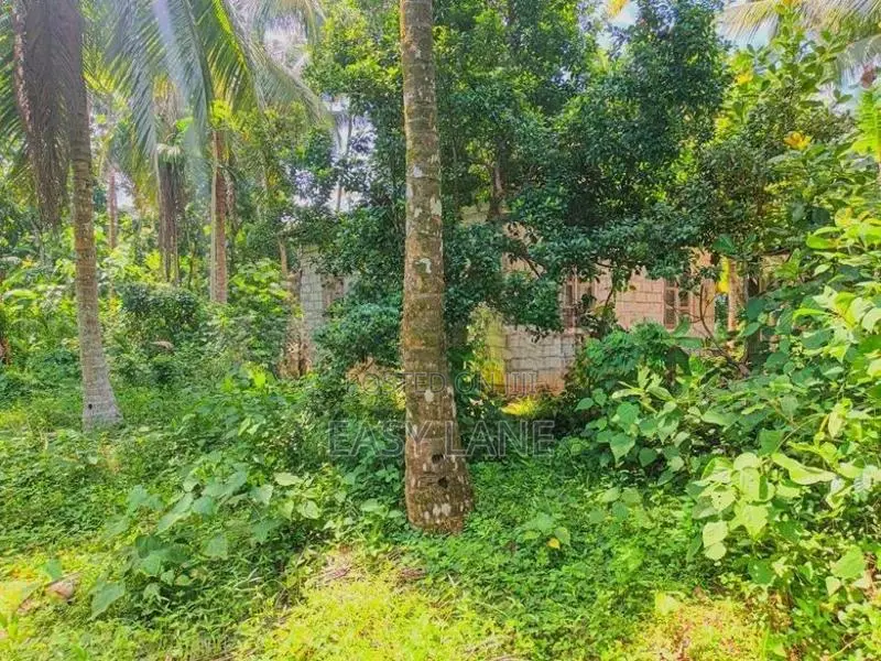 Land for Sale in Devolapola / Sa 14616