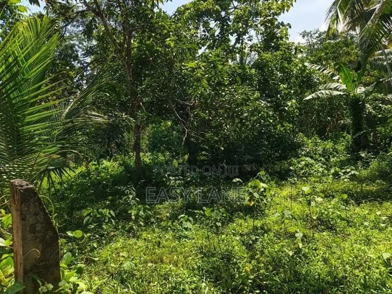 Land for Sale in Devolapola / Sa 14616