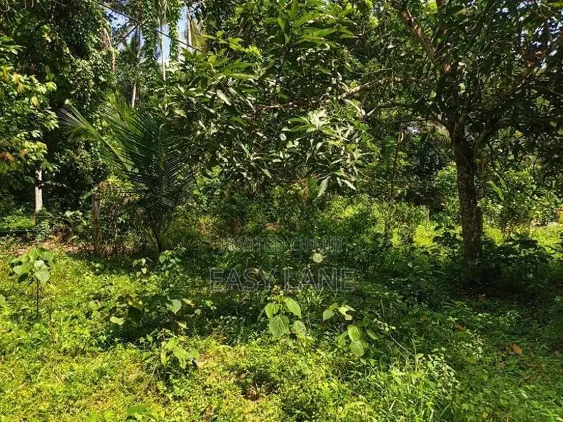 Land for Sale in Devolapola / Sa 14616