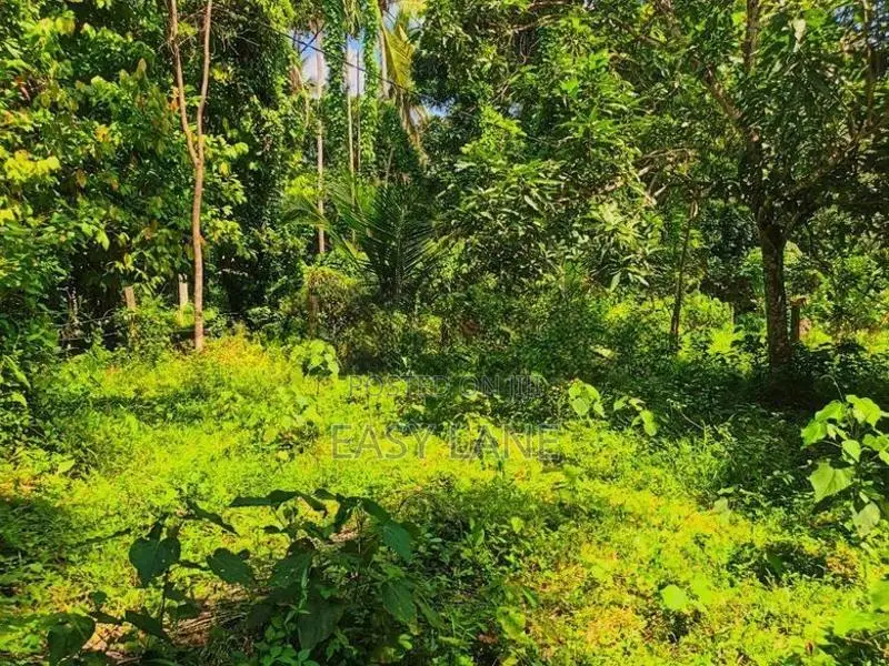Land for Sale in Devolapola / Sa 14616