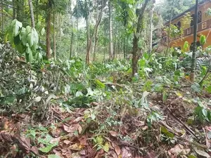 115 Perches Land with House for Sale – Matale