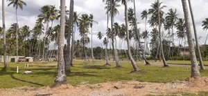 කුරුණෑගල නගරයට ළගින් පදිංචියට ඉඩමක්