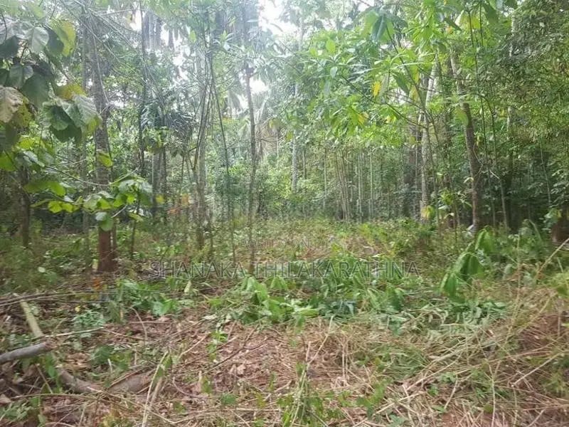 115 Perches Land with House for Sale – Matale