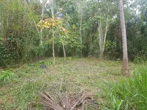115 Perches Land with House for Sale – Matale
