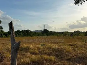 Land for Sale in Dambulla