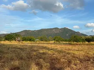 Land for Sale in Dambulla