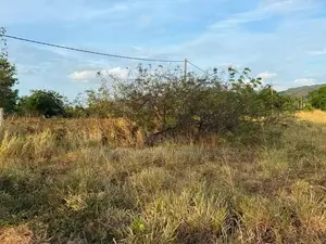 Land for Sale in Dambulla