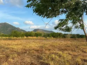 Land for Sale in Dambulla