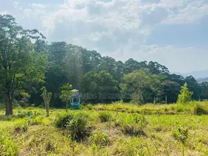 Lands for Sale in Pussellawa