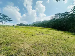 Lands for Sale in Pussellawa