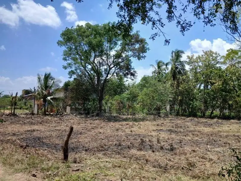 Anuradhapura – Prime Investment Land for Sale