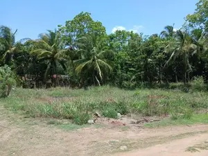 Anuradhapura – Prime Investment Land for Sale