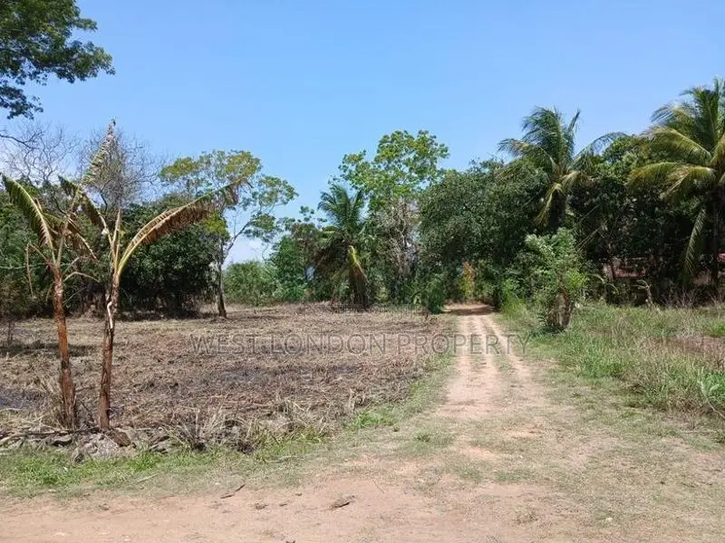 Anuradhapura – Prime Investment Land for Sale