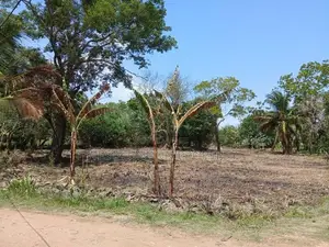 Anuradhapura – Prime Investment Land for Sale