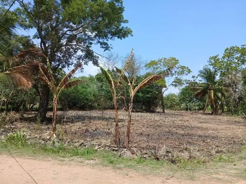 Anuradhapura – Prime Investment Land for Sale