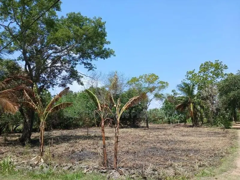 Anuradhapura – Prime Investment Land for Sale
