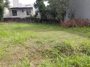 Super Land for Sale Borelesgamuwa