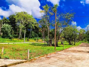 Koggala Lake Side Land for Sale