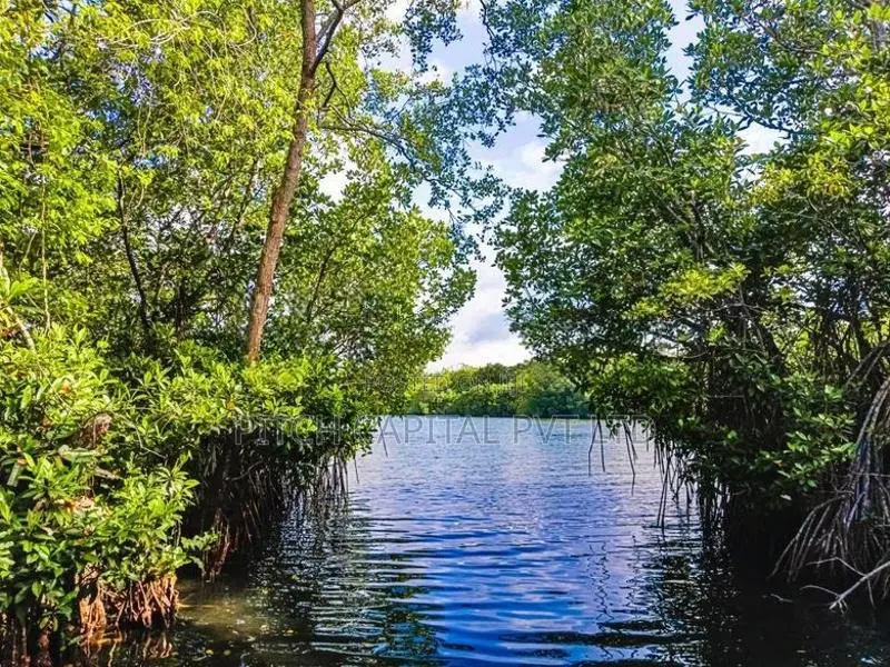 Koggala Lake Side Land for Sale