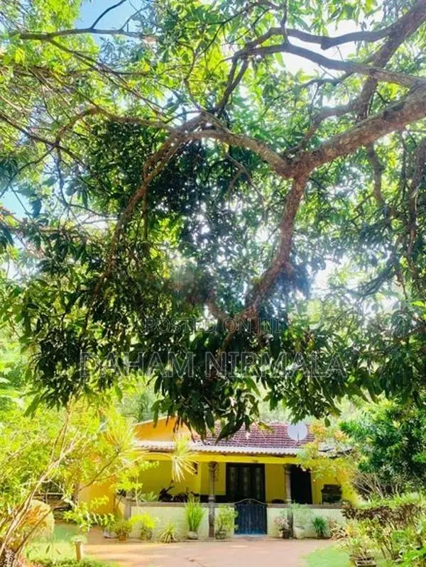 House with Shop For Sale Nochchiyagama