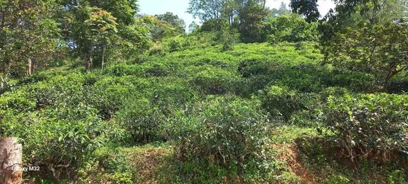 5 Acre Land for Sale Near Nawalapitiya, Nuwara Eliya