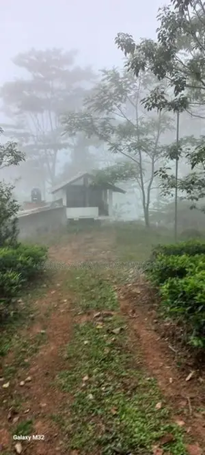 5 Acre Land for Sale Near Nawalapitiya, Nuwara Eliya